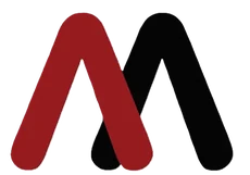 Mehta Group logo